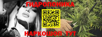 2c-b Заводоуковск