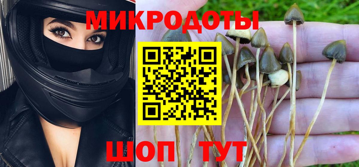 Псилоцибиновые грибы Magic Shrooms Миасс